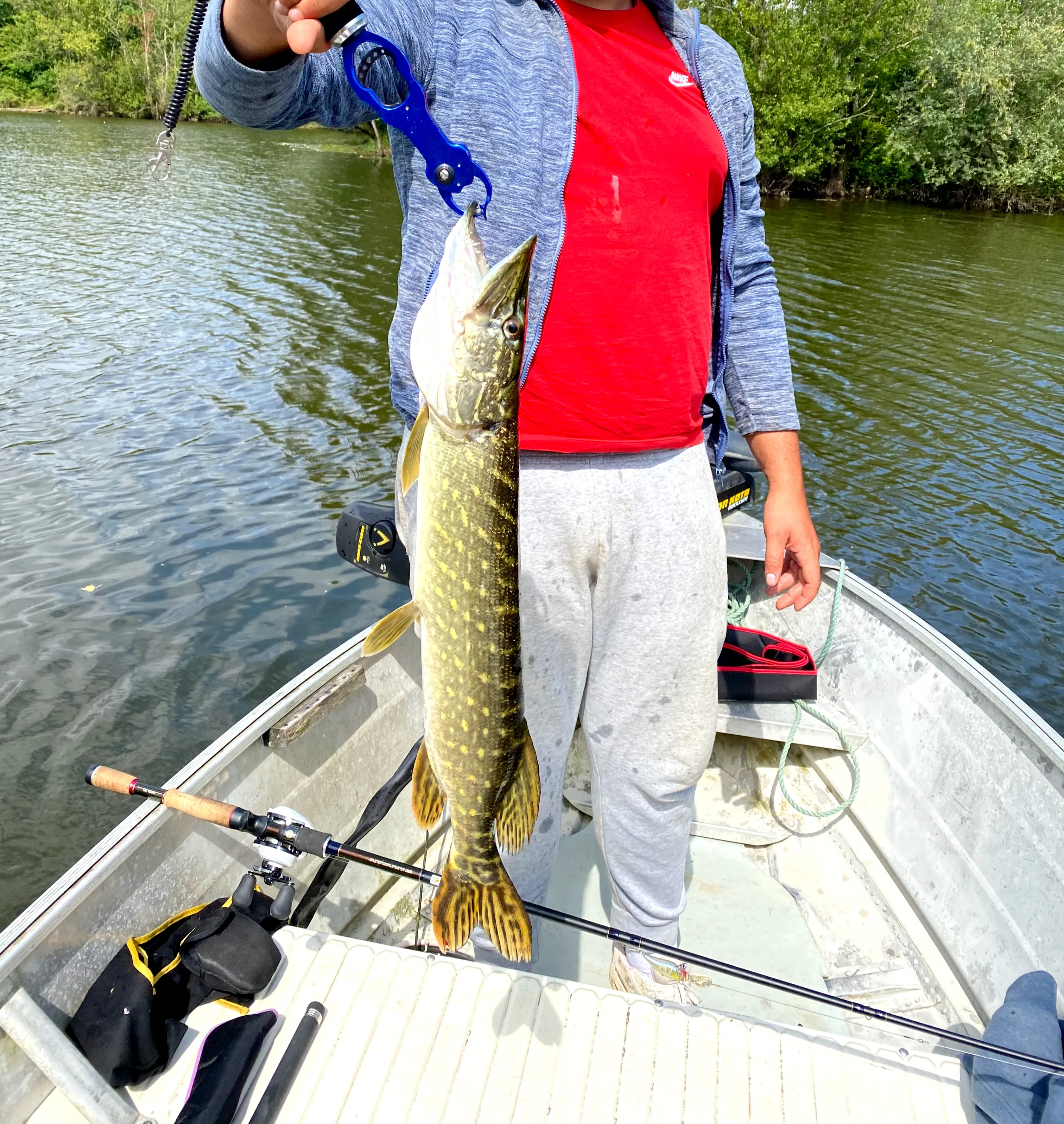 Etangs de 2x 3ha à louer dans les Landes avec chalet en bord d'étang