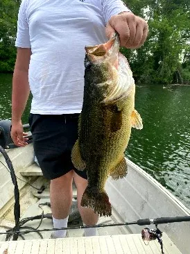 Deux étangs de 3ha à louer dans les Landes