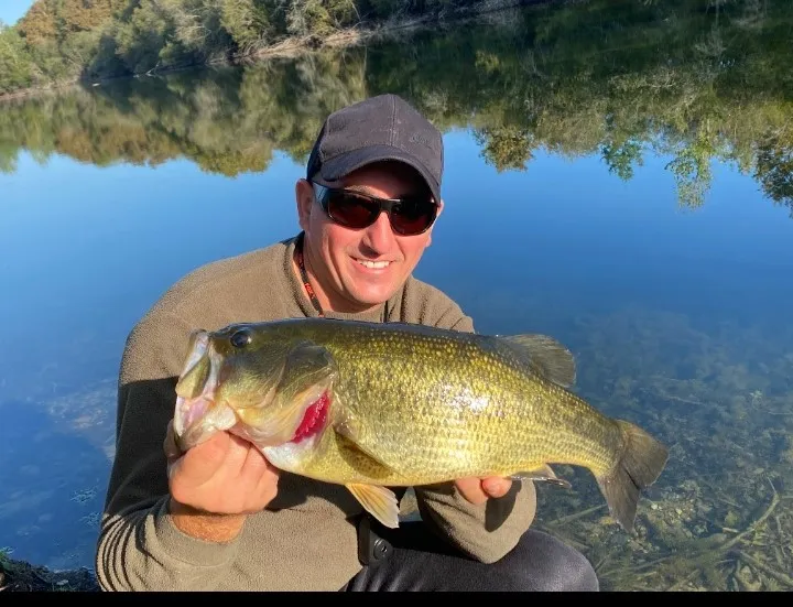 Etangs de 2x 3ha à louer dans les Landes avec chalet en bord d'étang