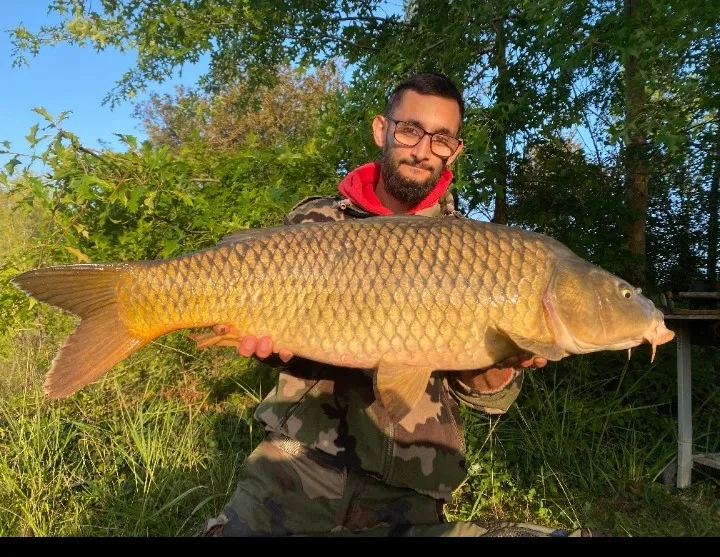Etangs de 2x 3ha à louer dans les Landes avec chalet en bord d'étang