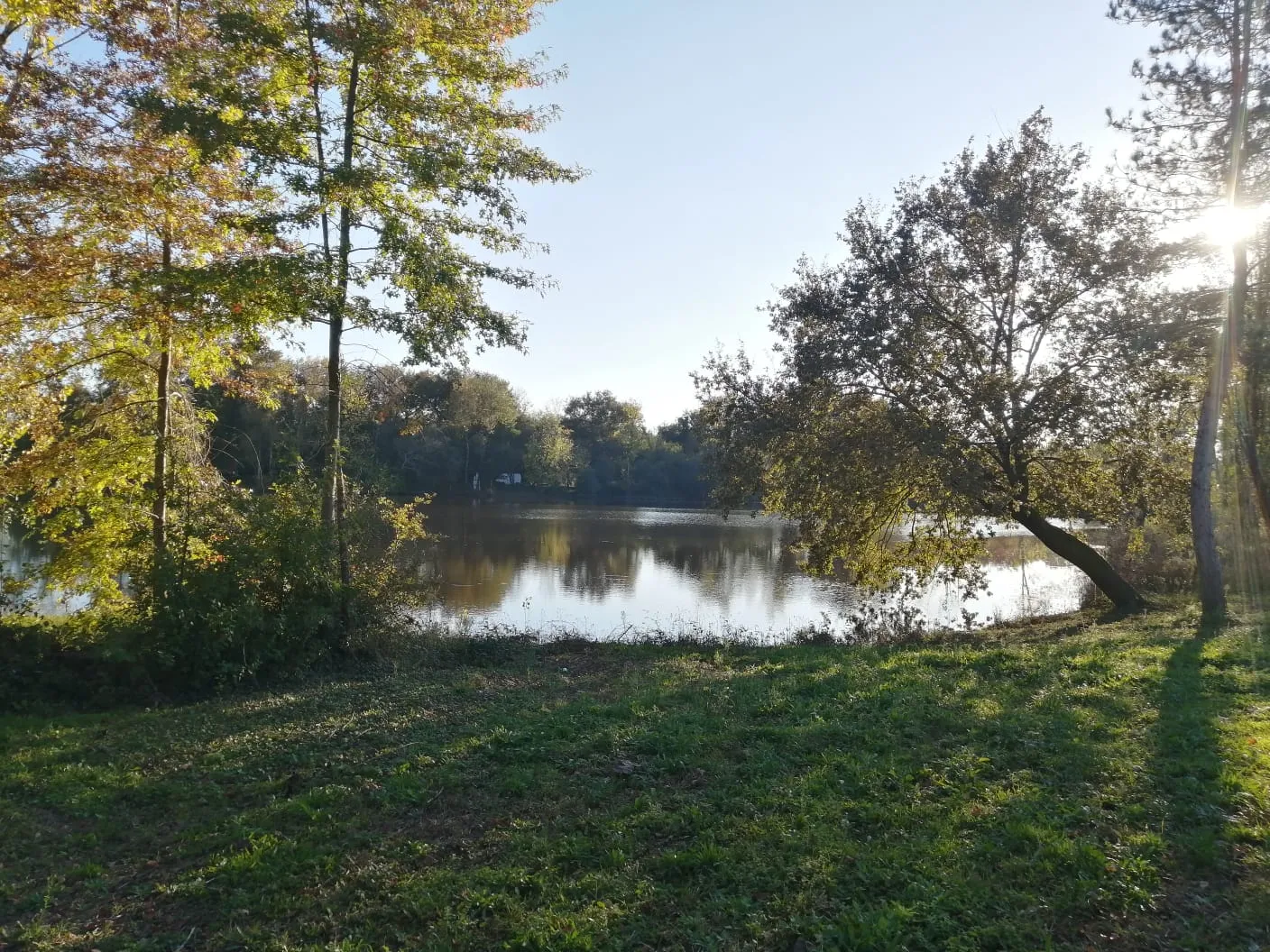 Deux étangs de 3ha à louer dans les Landes
