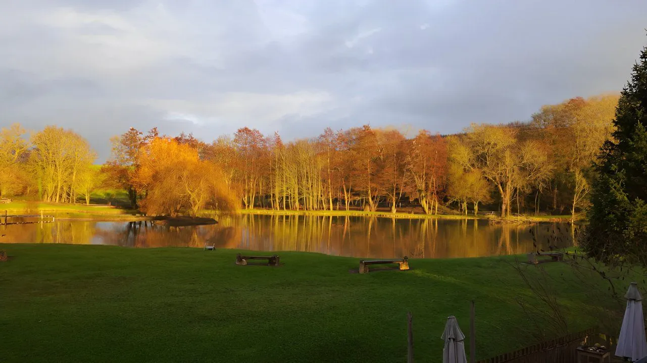 Roulotte tout confort au cœur d’un Domaine avec étang privé