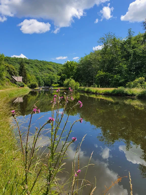 Séjour dans la Nièvre – 4 personnes pour une pêche au bord d’un canal