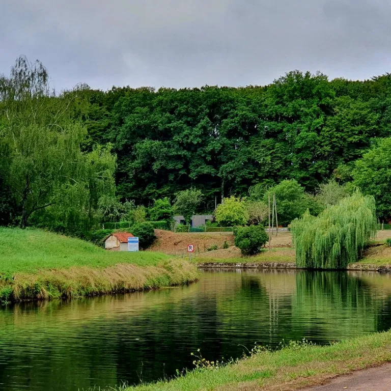 Séjour dans la Nièvre – 4 personnes pour une pêche au bord d’un canal