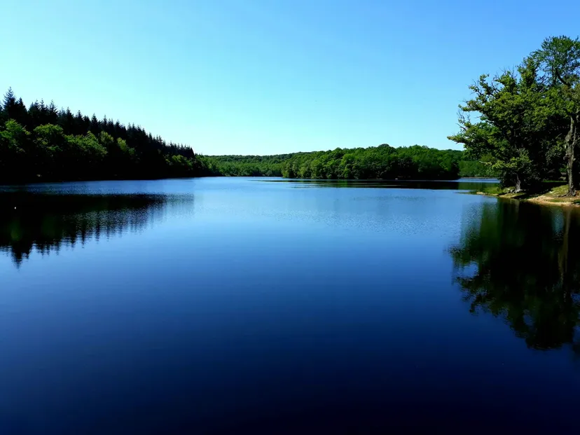 Terrain de pêche au bord d'un étang de 17 ha à 2h de Dijon