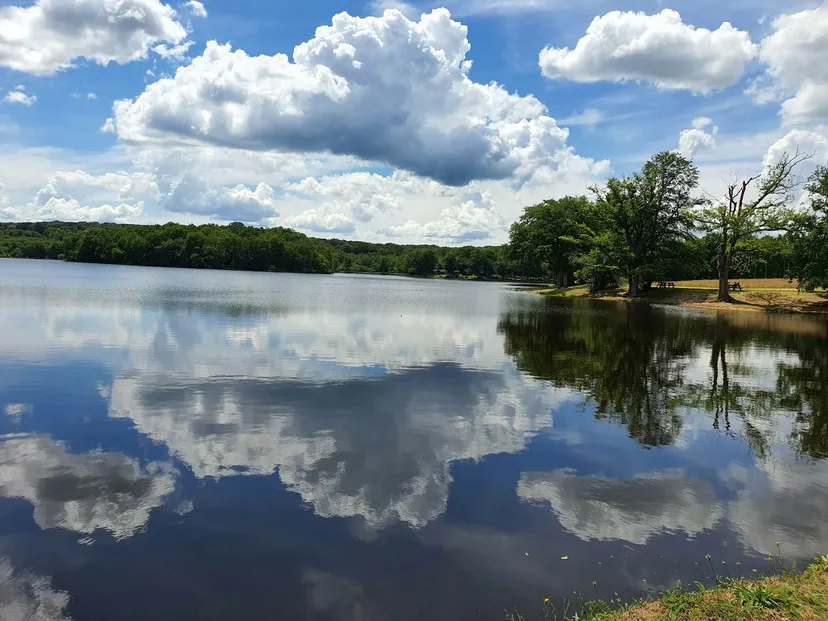 Terrain de pêche au bord d'un étang de 17 ha à 2h de Dijon