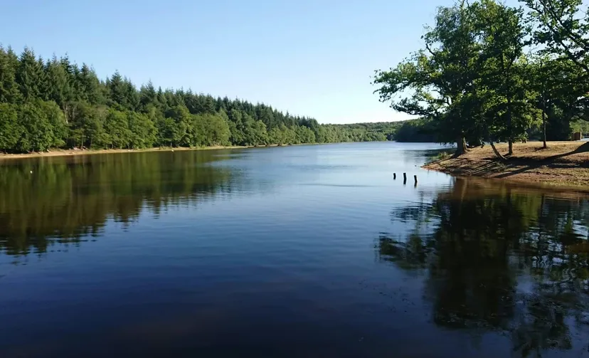 Terrain de pêche au bord d'un étang de 17 ha à 2h de Dijon