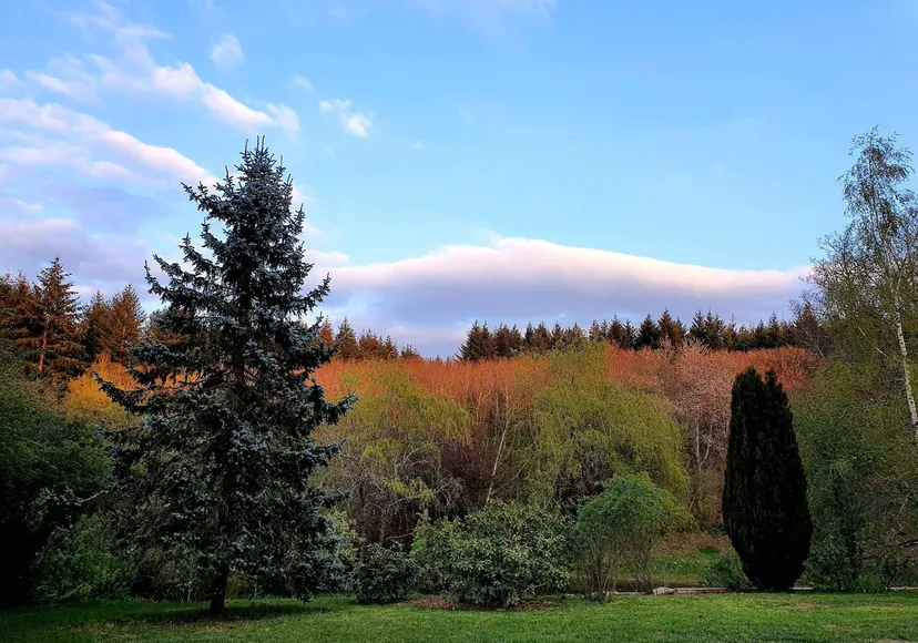 Terrain de pêche au bord d'un étang de 17 ha à 2h de Dijon
