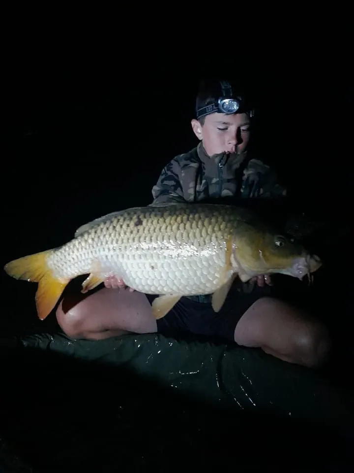 Privatisation étang 12 ha à Chêne Bernard (Jura), pêche nature carpe, brochet, silure no kill.