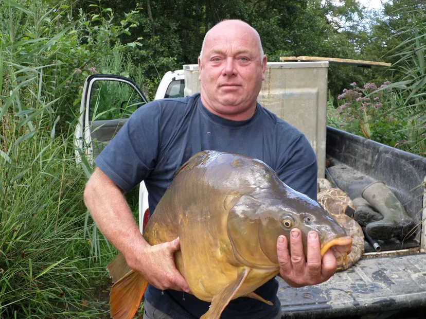 Privatisation étang 12 ha à Chêne Bernard (Jura), pêche nature carpe, brochet, silure no kill.