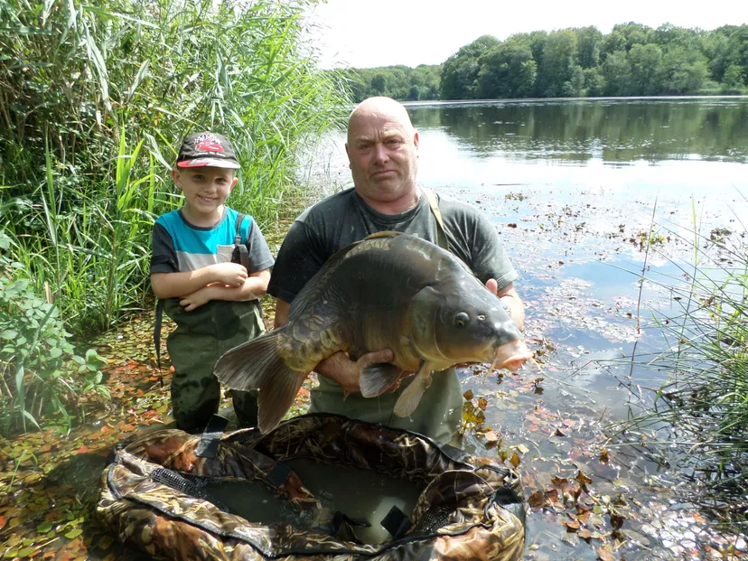 Privatisation étang 12 ha à Chêne Bernard (Jura), pêche nature carpe, brochet, silure no kill.