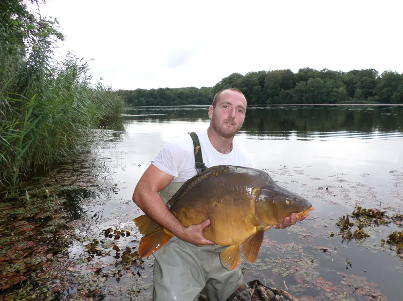 Privatisation étang 12 ha à Chêne Bernard (Jura), pêche nature carpe, brochet, silure no kill.