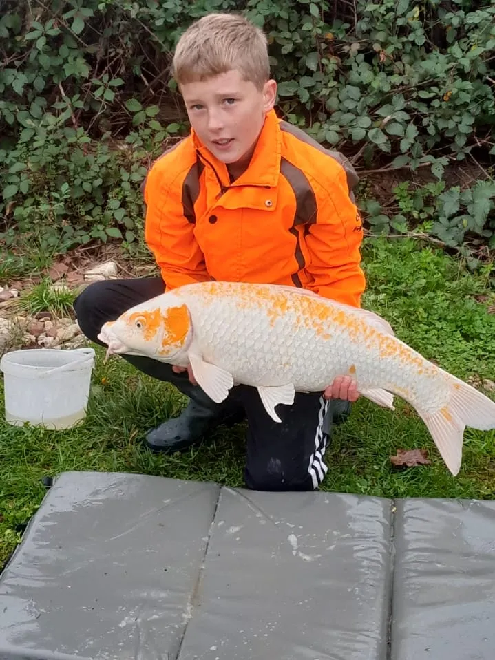 Étang privatisable dans le Jura pour la pêche à la carpe