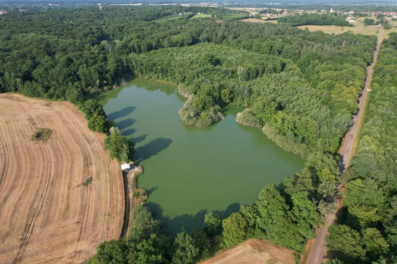 Étang Bon privatisable dans le Jura pour la pêche à la carpe et brochet en no kill