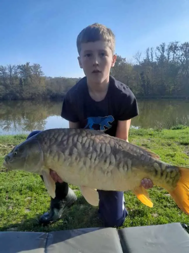 Étang privatisable dans le Jura pour la pêche à la carpe