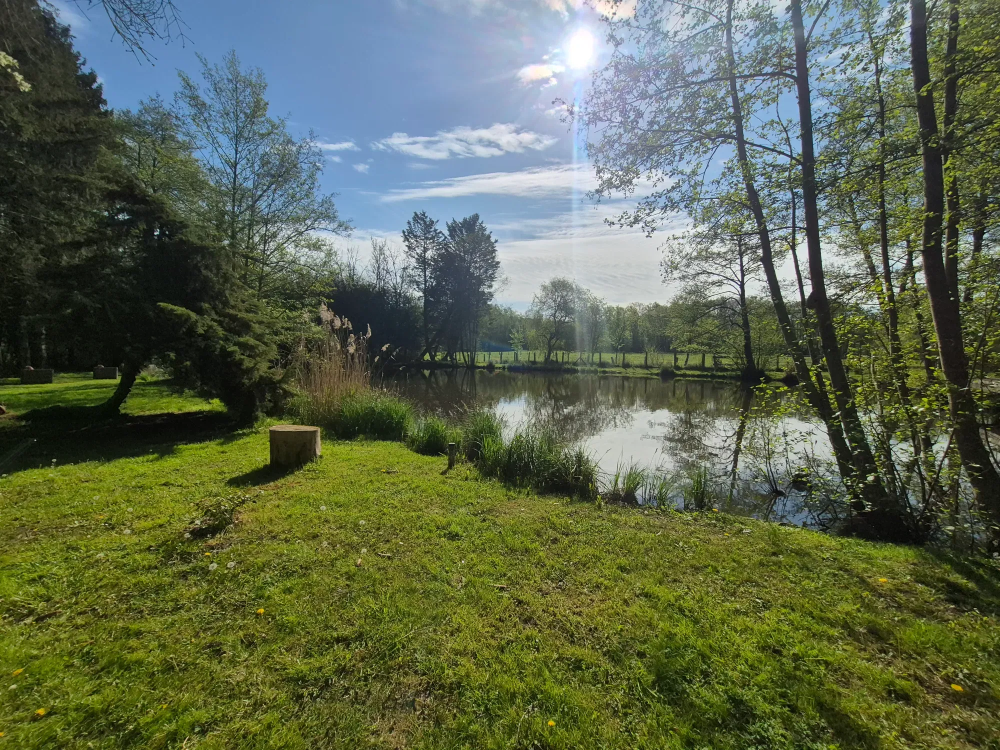 Etang avec maison de 30 m2