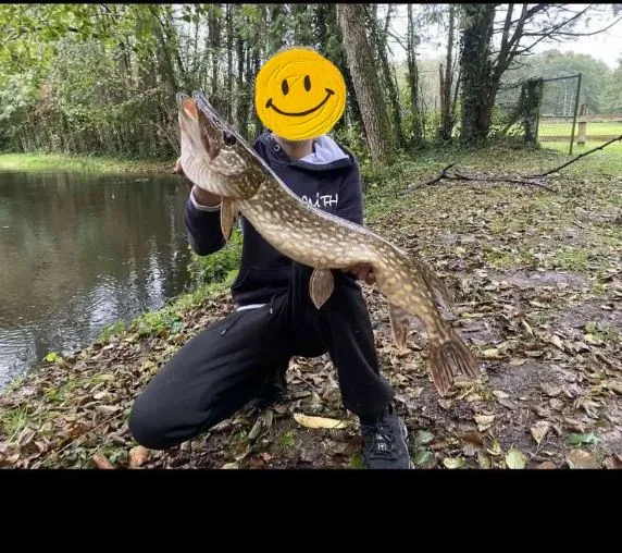 Etang avec maison de 30 m2