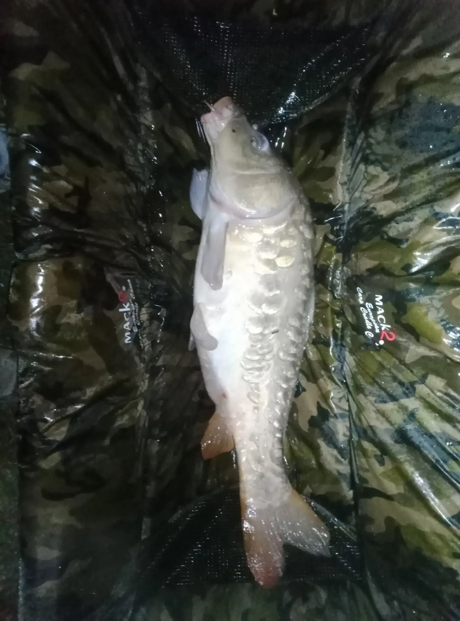 Mobile home with fish pond in the Great East