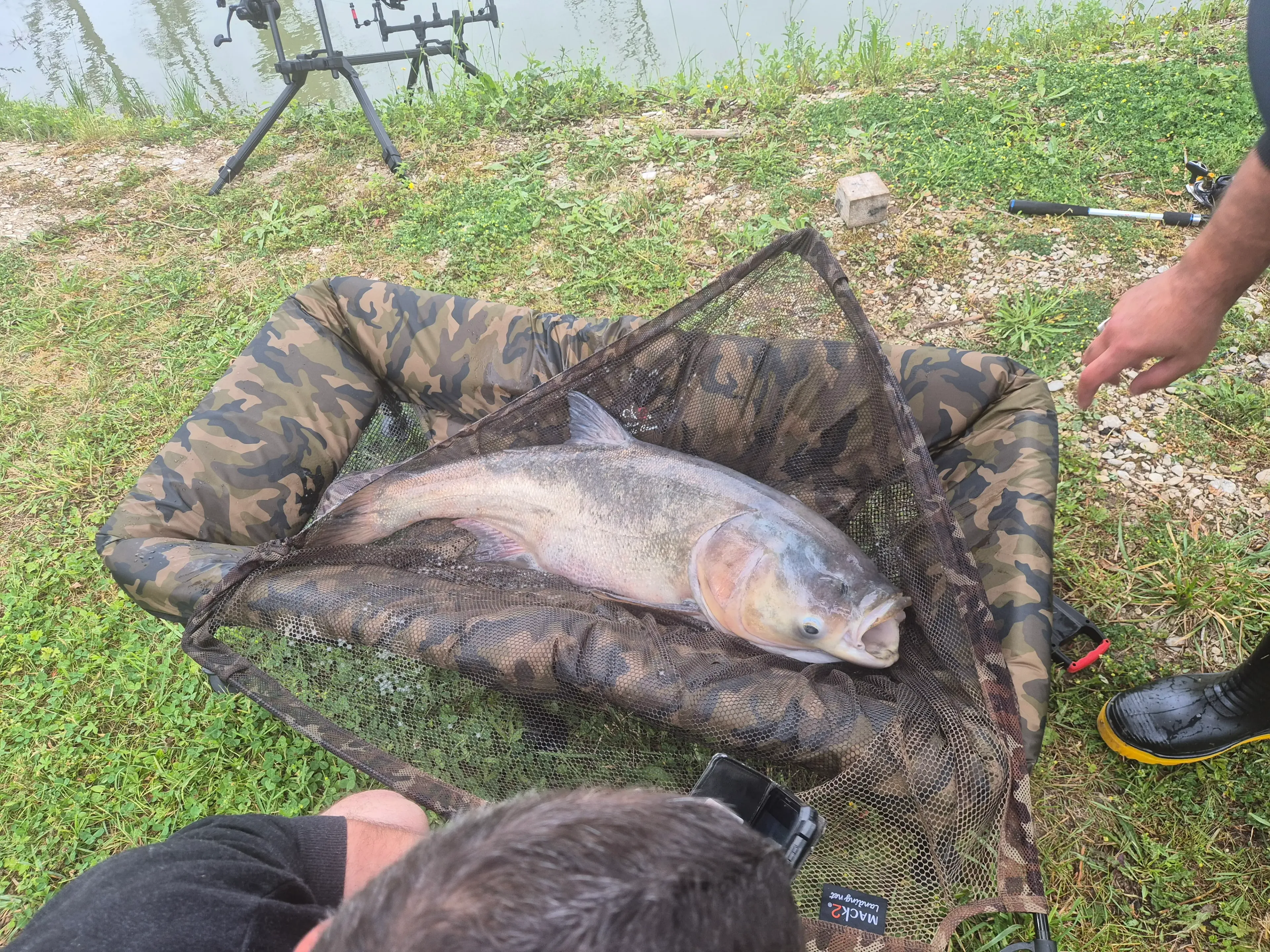 Mobile home with fish pond in the Great East