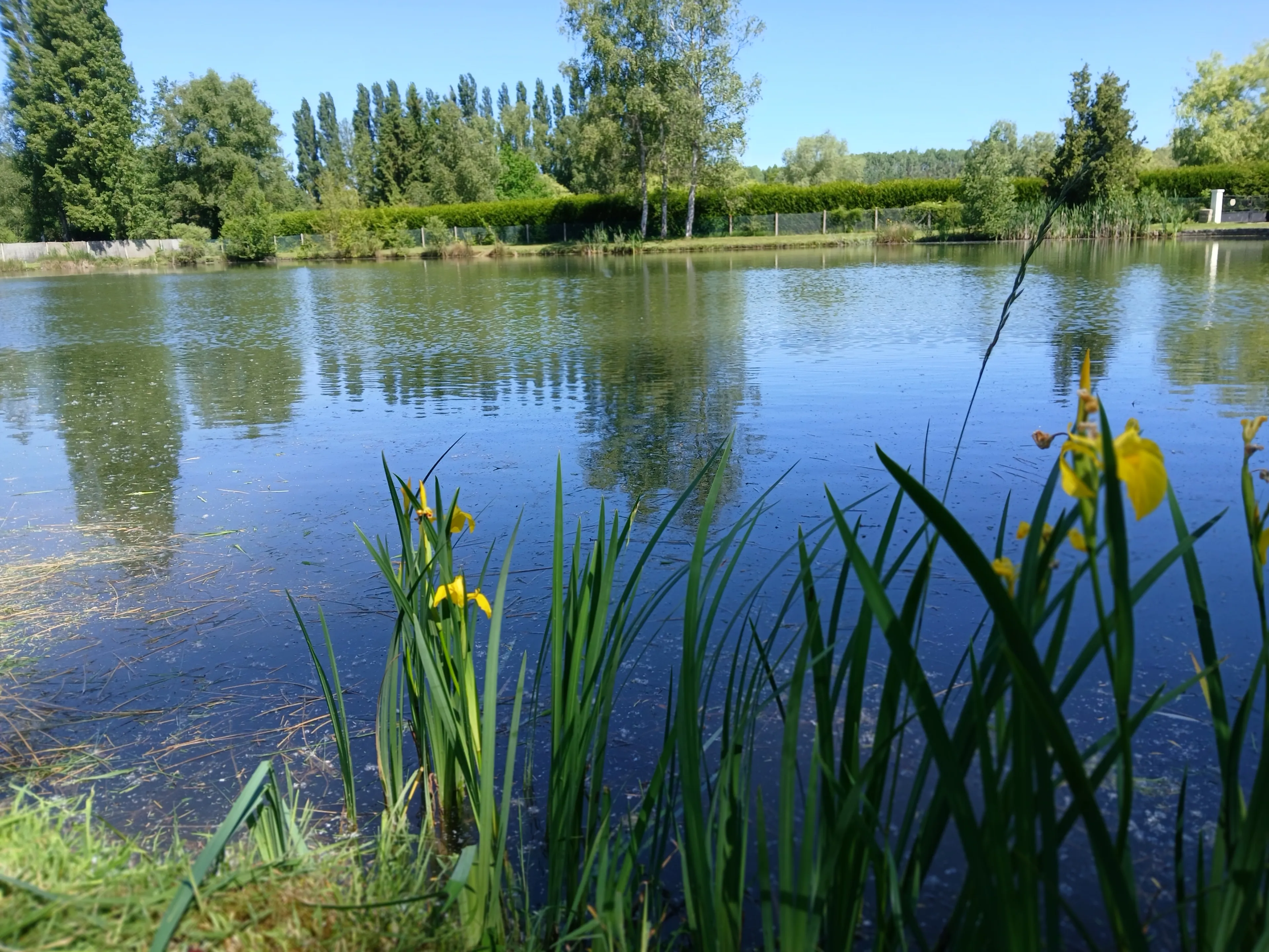 Chalet au bord d'un étang privatif