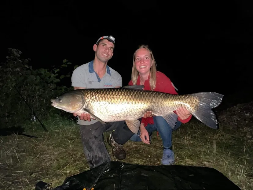 Yourte au cœur d’un parc de deux étangs avec des animaux en liberté