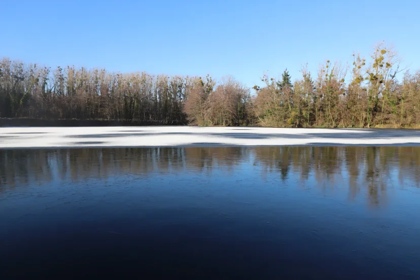 Cabane flottante sur un étang de 4 hectares, dans un parc avec des animaux en liberté