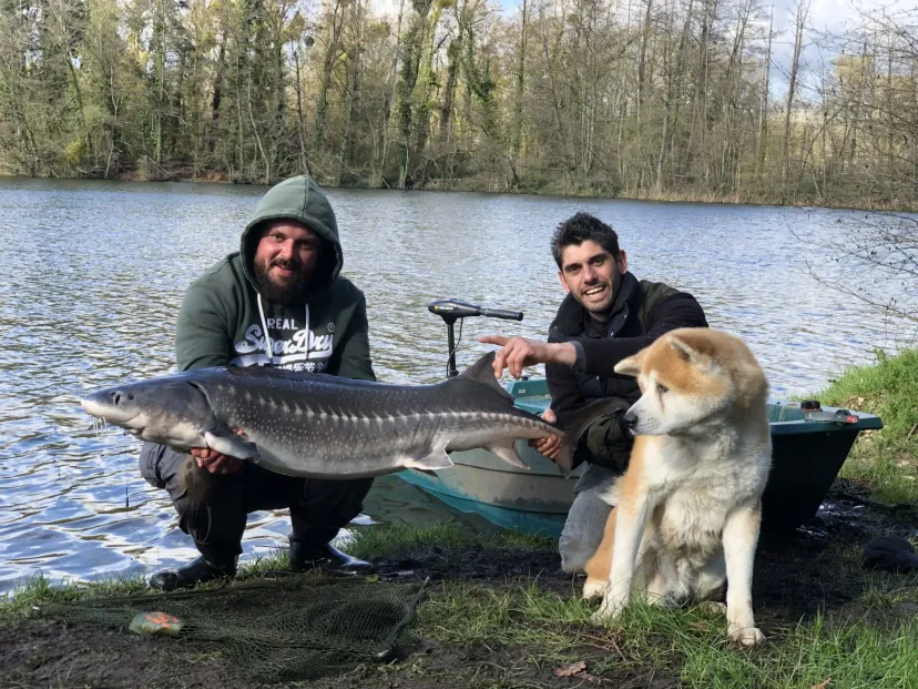 Cabane flottante sur un étang de 4 hectares, dans un parc avec des animaux en liberté