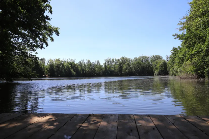 Cabane flottante sur un étang de 4 hectares, dans un parc avec des animaux en liberté