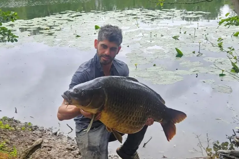 Cabane flottante sur un étang de 4 hectares, dans un parc avec des animaux en liberté