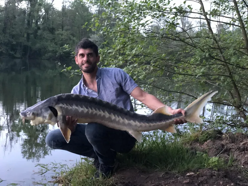 Yourte au cœur d’un parc de deux étangs avec des animaux en liberté