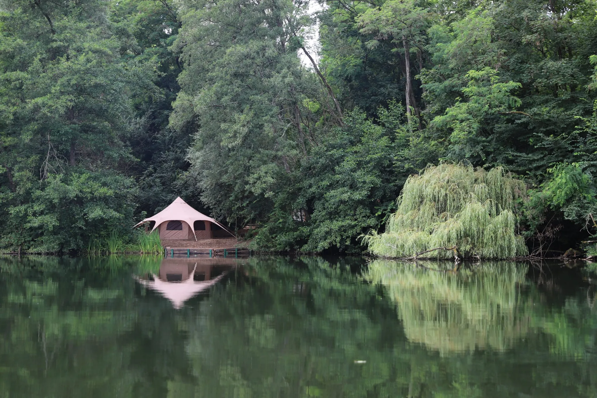 Yourte au cœur d’un parc de deux étangs avec des animaux en liberté
