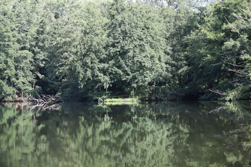 Yourte au cœur d’un parc de deux étangs avec des animaux en liberté