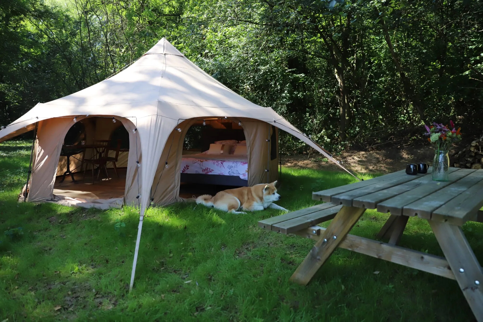 Yourte au cœur d’un parc de deux étangs avec des animaux en liberté