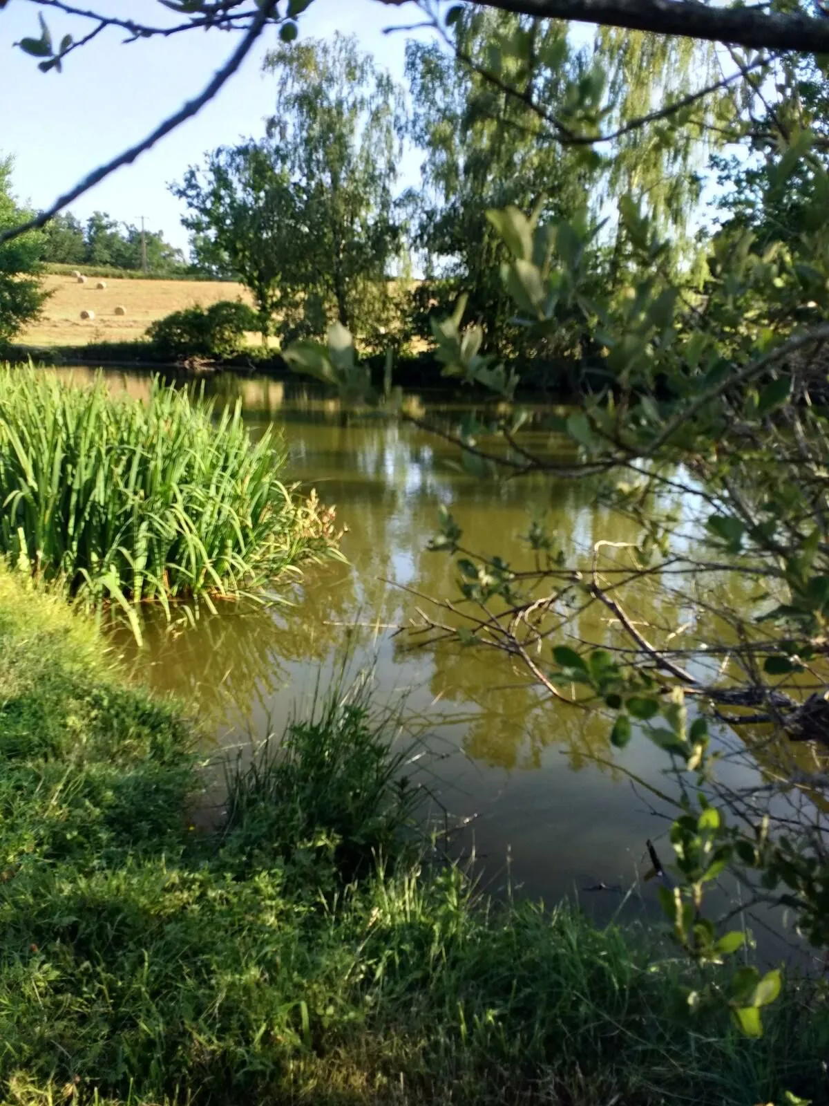 Gite 6 beds with small private pond