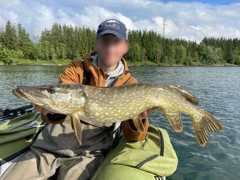 17ha sur 4 étangs dans le Doubs pour une pêche entre amis