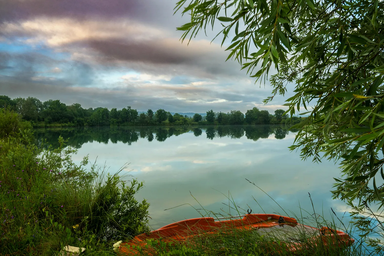 17ha sur 4 étangs dans le Doubs pour une pêche entre amis