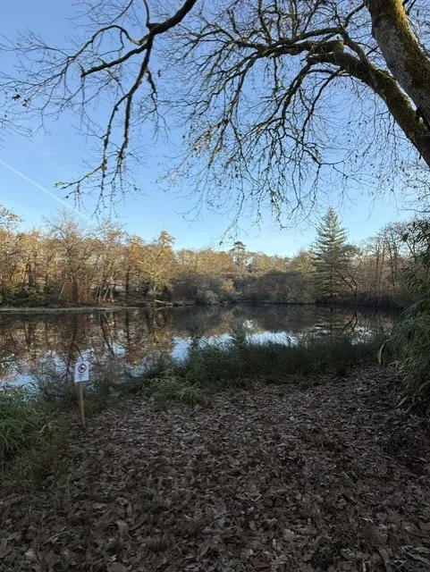 Gîte dans un domaine landais – 6 personnes – 3 étangs (3.5ha) et ruisseaux