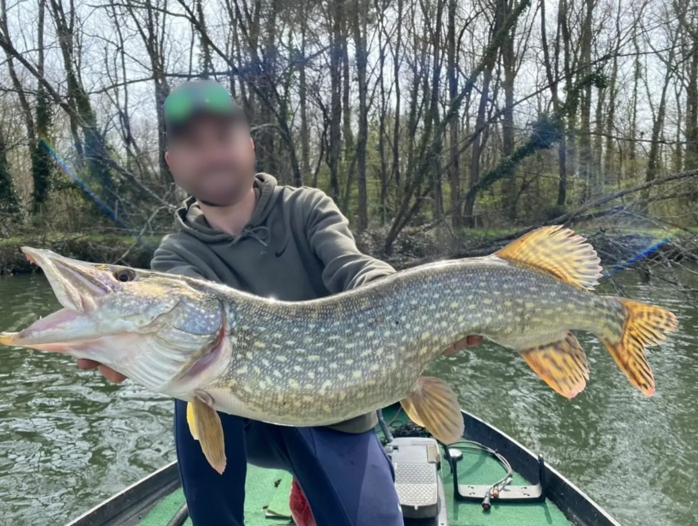 Location chalet confortable avec accès direct à l'étang