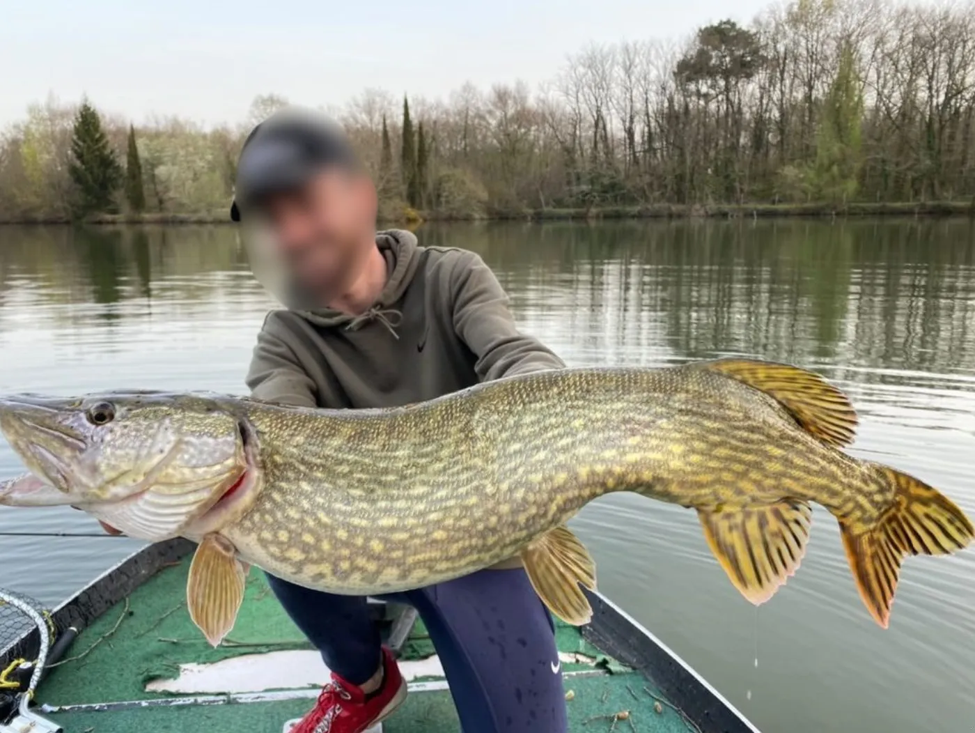 Chalet haut de gamme avec accès direct au lac