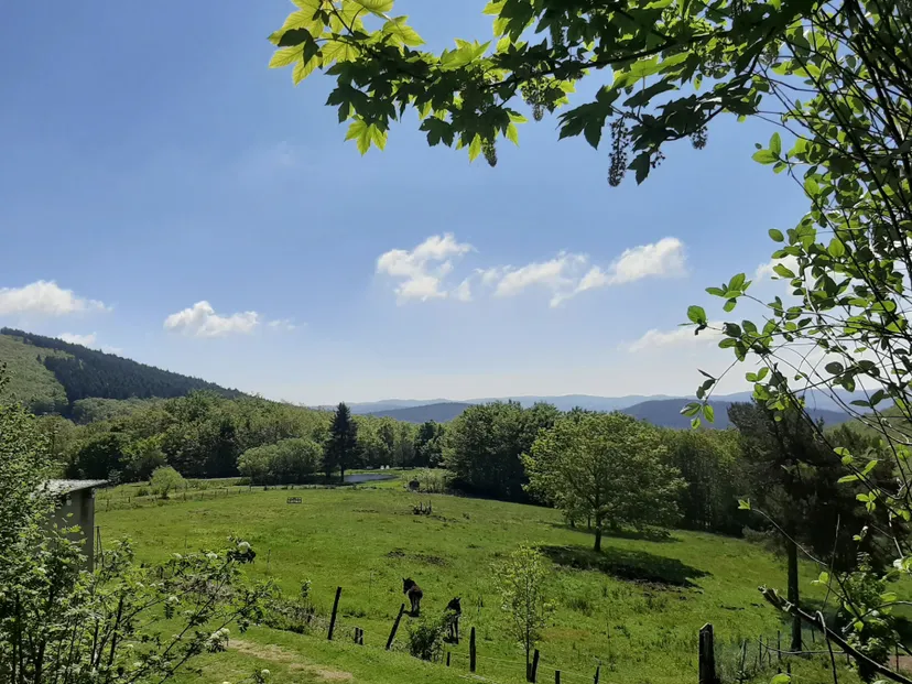 Maison de montagne avec son lac privé