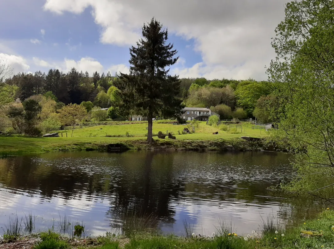 Cabane au coeur de la montagne et devant son étang privé