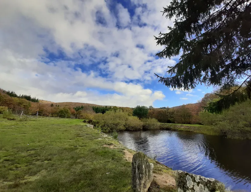 Maison de montagne avec son lac privé