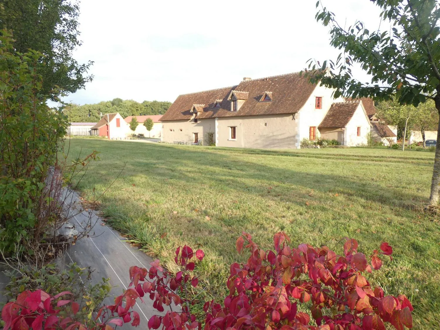 Gîte nature sur domaine privé avec accès à une mare dans le Nord Berry