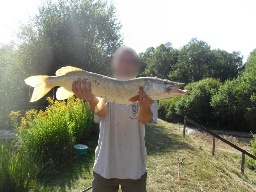 Gîte de pêche insolite en Creuse – Juste au bord de l’étang