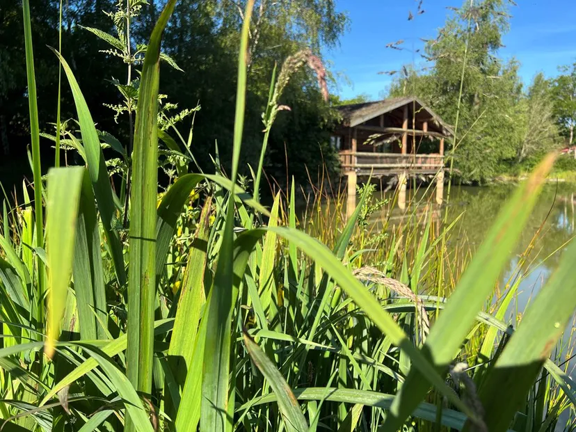 Chalet en bois au bord de l’eau en Nouvelle-Aquitaine – séjour nature pour 4 personnes