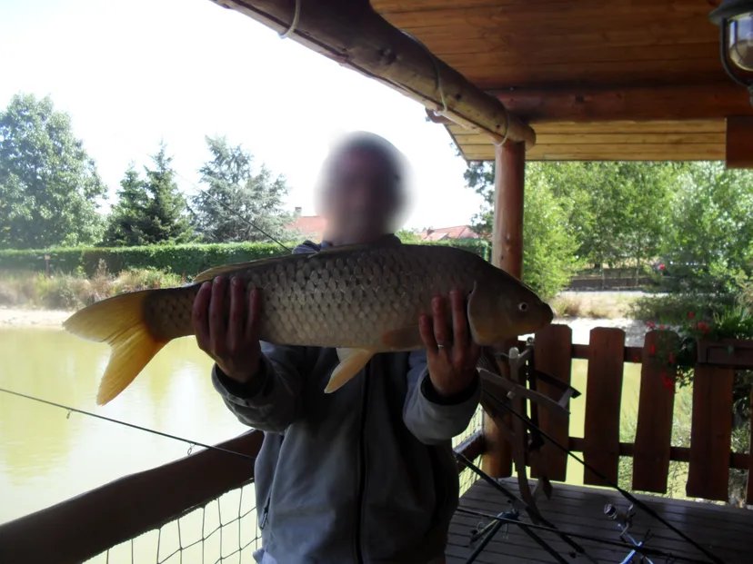Chalet en bois au bord de l’eau en Nouvelle-Aquitaine – séjour nature pour 4 personnes