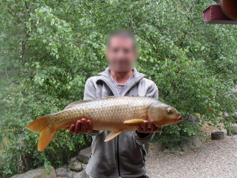 Séjour romantique sur l’eau en Creuse – Cabane sur pilotis pour 2 personnes