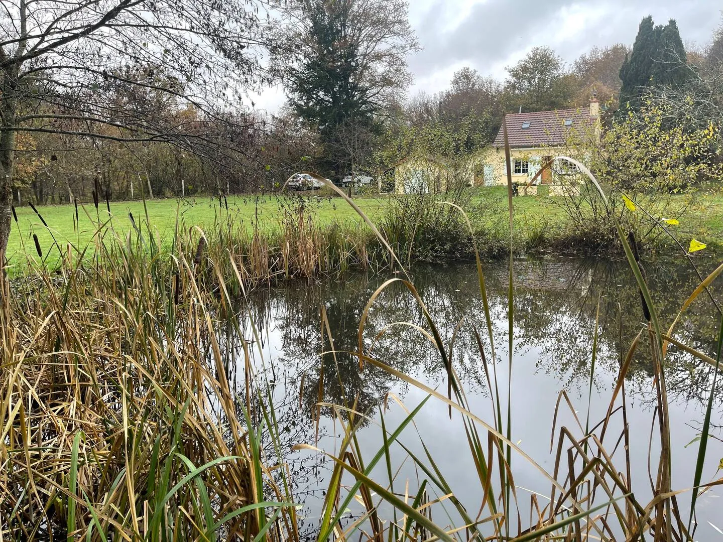 Gîte nature de 6 à 8 personnes avec étang privé en Bourgogne – Morvan