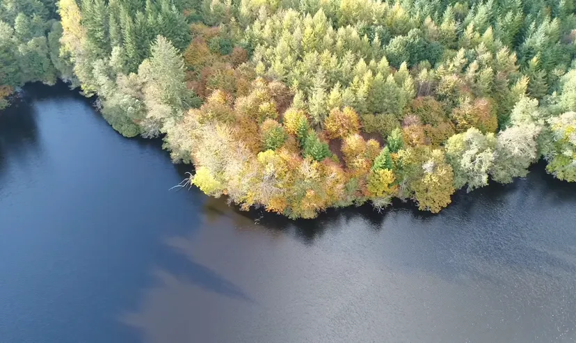 Rental pond with access to a water body of 19.77 ac and a 2.47 ac for 2 to 6 persons