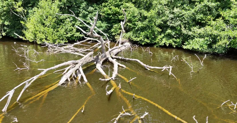 Rental pond with access to a water body of 19.77 ac and a 2.47 ac for 2 to 6 persons